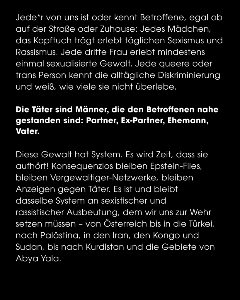 Seite eines Instagram Posts, Text-Inhalt: Jede*r von uns ist oder kennt Betroffene, egal ob auf der Straße oder Zuhause: Jedes Mädchen, das Kopftuch trägt erlebt täglichen Sexismus und Rassismus. Jede dritte Frau erlebt mindestens einmal sexualisierte Gewalt. Jede queere oder trans Person kennt die alltägliche Diskriminierung und weiß, wie viele sie nicht überlebe. Die Täter sind Männer, die den Betroffenen nahe gestanden sind: Partner, Ex-Partner, Ehemann, Vater. Diese Gewalt hat System. Es wird Zeit, dass sie aufhört! Konsequenzlos bleiben Epstein-Files, bleiben Vergewaltiger-Netzwerke, bleiben Anzeigen gegen Täter. Es ist und bleibt dasselbe System an sexistischer und rassistischer Ausbeutung, dem wir uns zur Wehr setzen müssen - von Österreich bis in die Türkei, nach Palästina, in den Iran, den Kongo und Sudan, bis nach Kurdistan und die Gebiete von Abya Yala.