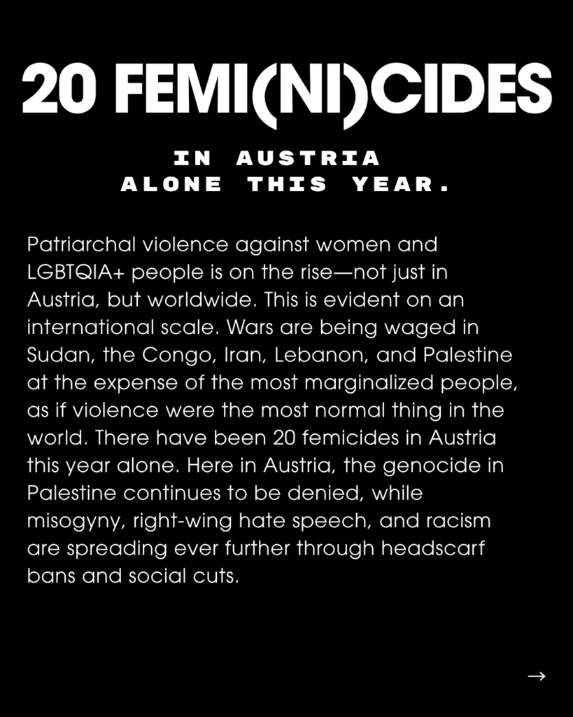 Slide Text: 20 FEMI(NI)CIDES IN AUSTRIA ALONE THIS YEAR. Patriarchal violence against women and LGBTQIA+ people is on the rise-not just in Austria, but worldwide. This is evident on an international scale. Wars are being waged in Sudan, the Congo, Iran, Lebanon, and Palestine at the expense of the most marginalized people, as if violence were the most normal thing in the world. There have been 20 femicides in Austria this year alone. Here in Austria, the genocide in Palestine continues to be denied, while misogyny, right-wing hate speech, and racism are spreading ever further through headscarf bans and social cuts.