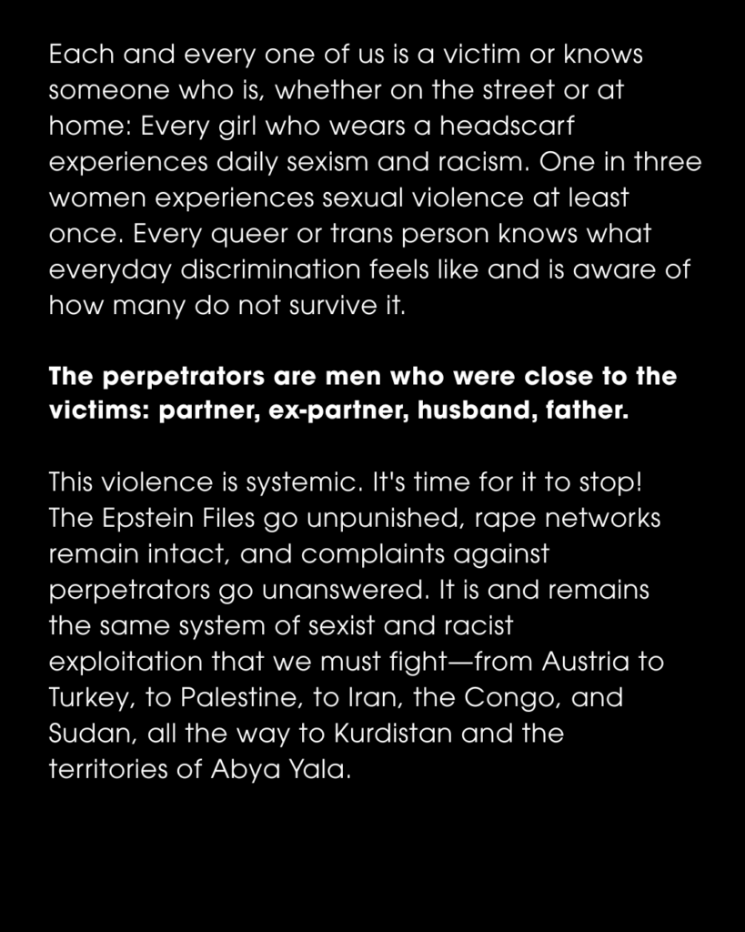 Slide Text: Each and every one of us is a victim or knows someone who is, whether on the street or at home: Every girl who wears a headscarf experiences daily sexism and racism. One in three women experiences sexual violence at least once. Every queer or trans person knows what everyday discrimination feels like and is aware of how many do not survive it. The perpetrators are men who were close to the victims: partner, ex-partner, husband, father. This violence is systemic. It's time for it to stop! The Epstein Files go unpunished, rape networks remain intact, and complaints against perpetrators go unanswered. It is and remains the same system of sexist and racist exploitation that we must fight-from Austria to Turkey, to Palestine, to Iran, the Congo, and Sudan, all the way to Kurdistan and the territories of Abya Yala.