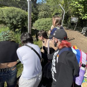 Fünf junge Erwachsene stehen dicht vor einem kleinen grünen Teich mit vielen Pflanzen drinnen. Zwischen Teich und Menschen ist ein Maschendrahtzaun. Das Bild wurde an einem sonnigen Tag im Frühling gemacht weswegen die Menschen, Teilnehme Personen des Ausflugs von TNYV, sommerlich angezogen sind. Ganz rechts im Bild ist noch ein kleiner, karger Baum zu sehen. Im Teich sind einige kleine Frösche.