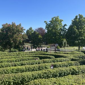 In der unteren Hälfte des Bildes ist ein Labyrinth aus Hecken aus einer erhöhten Position in der Mitte des Labyrinths selbst zu sehen. Der Himmel ist blau und wolkenlos. Circa 50 Meter Entfernt endet das Labyrinth und einige Laubbäume schmücken den Hintergrund sowie Besucher*innen der Blumengärten.