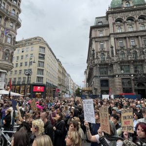 Große Menschenmenge bei Demonstration am Stephansplatz in Wien (Innenstadt mit historischen Gebäuden) und Protestschildern.