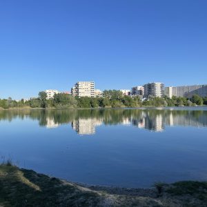 Das Bild teilt sich in einen Teich nahe der Blumengärten Hirschstetten in Wien und wolkenlosen, blauen Himmel. Wohl 300 Meter Entfernt, auf der anderen Seite des Teichs oder eher Sees, sind mehrstöckige Wohngebäude mit Balkonen zu sehen. Der Teich ist umsäumt mit dichten Bäumen und einem Gehweg an dem hin und wieder Spielplätze und Wiesen angelegt sind. Die Spiegelung des Teichs ist klar, es geht also quasi kein Wind.