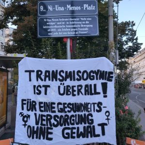 Im Vordergrund hängt ein großes, handbeschriftetes Transparent an der Stange eines Straßenschilds. Darauf steht in Großbuchstaben: 'TRANSMISOGYNIE IST ÜBERALL! FÜR EINE GESUNDHEITSVERSORGUNG OHNE GEWALT'. Links und rechts vom Wort 'OHNE' sind Symbole für weiblich und trans* zu sehen. Oberhalb des Transparents ist ein Straßenschild mit der Aufschrift '9., Ni-Una-Menos-Platz' angebracht. Das Bild ist also an jenem Platz im 9. Wiener Gemeindebezirk aufgenommen. Im Hintergrund sind Häuserfassaden, eine Straßenbahnlinie und ein Teil einer Haltestelle zu erkennen. Die Szene spielt im öffentlichen Raum und thematisiert einen Aufruf für ein Gesundheitssystem ohne Gewalt und Retraumatisierung, Anlass ist unsere Solidarität mit Viola.